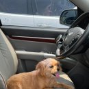 이순신 렌즈미 여천점 이미지