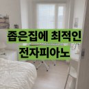 하이그레이드학원 | 뮤디스 STAGE-3 가성비 40만원대 전자피아노 후기