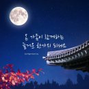 용인대월드태권도장 이미지