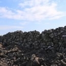 온평환해장성 이미지