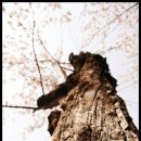 소달초교 이미지