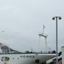 해동가스 - 금정구 금사로 74-5 | [비진도 숙소 추천] 위치, 오션뷰, 서비스 모든 게 완벽한 “해동민박 202호” 후기