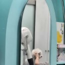 청 애견미용 | 광주 강아지 미용 추천 비숑다움 솔직리뷰