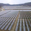 해바라기 태양광발전소 이미지