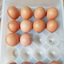 오아시스마켓 세번째 주문 후기! - 이번에도 대만족!!