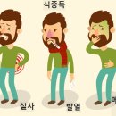 음식과 질환 - 식중독 이미지