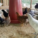 갈뫼농장 이미지