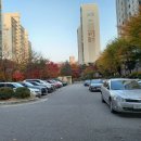 성남햇살약국 이미지