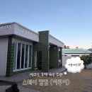 스테이캄 | 제주 독채 숙소 스테이캄캄 2박 솔직 후기!!(분위기, 가격)