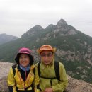 삼성사 세탁 이미지