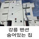 해돋이유치원 | [강릉 펜션]아이와 둘이 숙박한 강문해변 근처 강릉 펜션 내돈내산후기 "숨어있는집"