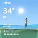 사천리무장애숲길 | 노원구 초안산 무장애숲길 후기