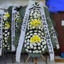 광주정품화환배달 이미지