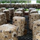 청봉농장 이미지