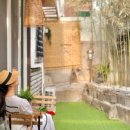 오늘스테이 이미지