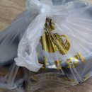 서울깍두기 (충장로점) 이미지