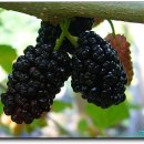 (주)오디 이미지