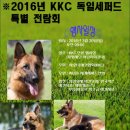 (주)사료회관 이미지