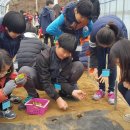 도비농장 이미지