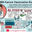 미르동물병원 이미지