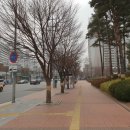 럭키자동차공업사 이미지