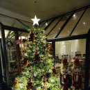 쉐프의품격 이미지