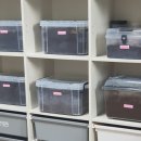 무지개 사슴농장 이미지