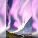 오로라핑크 이미지