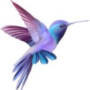 (주)지니카 | 【카밴던】 우유니 사막에서 다시 한번