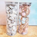 비비모스 이미지