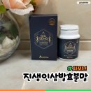파낙스코리아 | 사포닌이 풍부한 진생코리아 인삼발효추출분말
