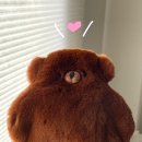 루 Daum카페