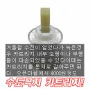 (펌) 세면기 수전(수도꼭지)에서 물이 샐때.. 이미지