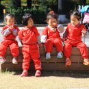 등나무근린공원 이미지