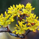 아름다운안경원 이미지