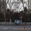 중앙공원.양지마을청구아파트 이미지