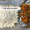 회맛나는세상 이미지