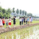 세중초등학교 이미지