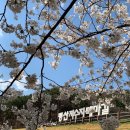 수영강변대로 | 포토존 추천 (병산 저수지, 맥도 생태공원, 동삼해수천, 용두산공원, 수영강변 산책로, 울산 작천정)