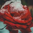 우주를 향한 꿈 이미지