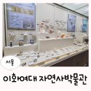 이화여자대학교 자연사박물관 | 서울실내체험 이화여자대학교 자연사박물관 무료관람