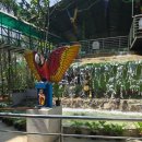 570004 | [2025 겨울] 인도 5일차(1) : 마이소르 호텔 Lok Sagar, 앵무새 생츄어리, 마이소르 궁전 내부 관람...