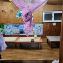 갑순이포차 이미지