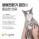 닥터김동물의료센터 이미지