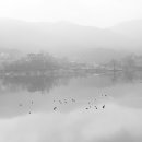 송해면-7 이미지