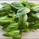 스위트허브 이미지