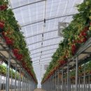 온누리농장 이미지