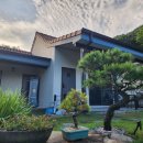 라온솔 | 자연 속 힐링 스테이, 단양독채펜션, 라온솔펜션 라온동 숙박 후기