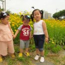 홍성천길 이미지