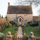 COZY HOUSE